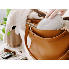 Owlet Travel Case: Black Nylon Solid Handbag Organizer, Side Zipper Closure